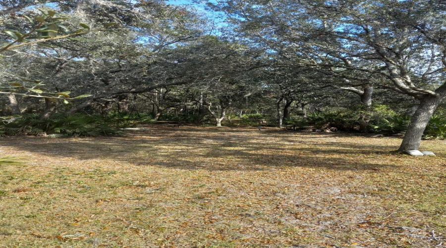 Property view with oak treas