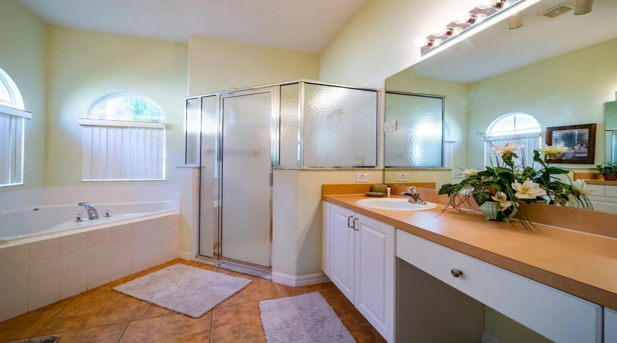 Primary ensuite bath features soaking tup, separate shower stall and vanity area