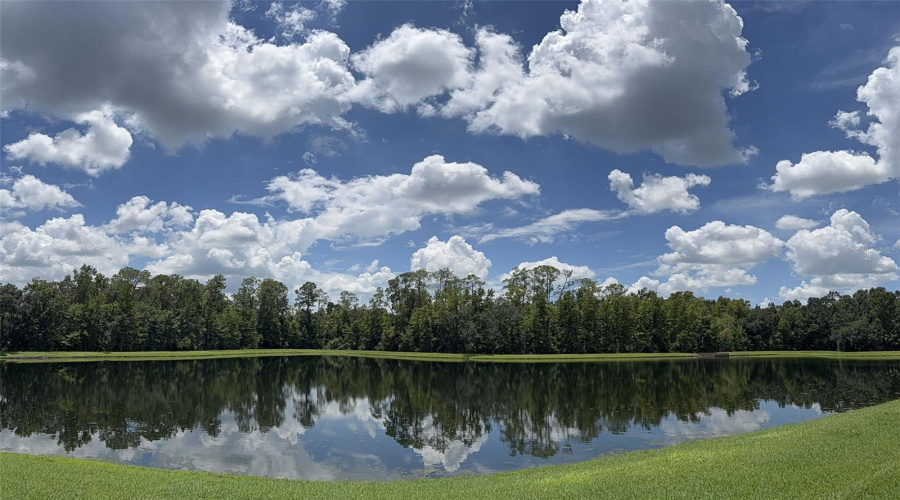 CELEBRATION, Florida 34747, 6 Bedrooms Bedrooms, ,6 BathroomsBathrooms,Residential,For Sale,ACADIA TERRACE,0,MFRO6330727