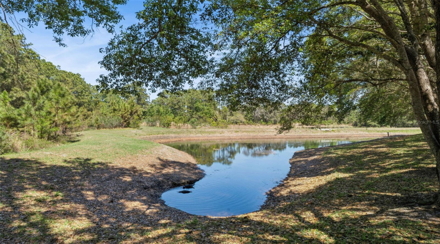 DAVENPORT, Florida 33837, 5 Bedrooms Bedrooms, ,5 BathroomsBathrooms,Residential,For Sale,ORANGE COSMOS,0,MFRG5110374