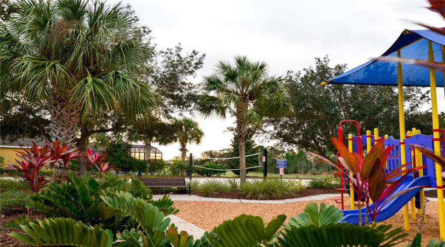 Community Center Playground and Volleyball Courts