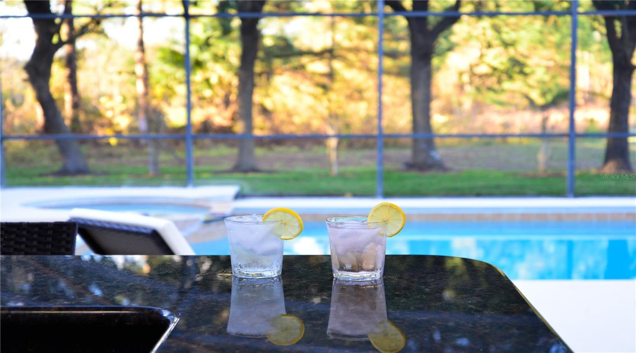 DAVENPORT, Florida 33837, 5 Bedrooms Bedrooms, ,5 BathroomsBathrooms,Residential,For Sale,ORANGE COSMOS,0,MFRG5110374