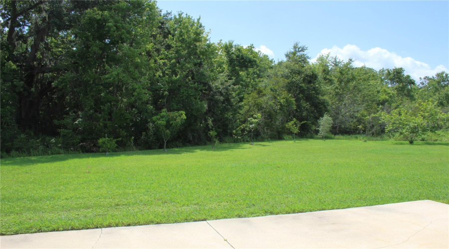 KISSIMMEE, Florida 34746, 5 Bedrooms Bedrooms, ,4 BathroomsBathrooms,Residential,For Sale,CHAPALA,0,MFRO6396893