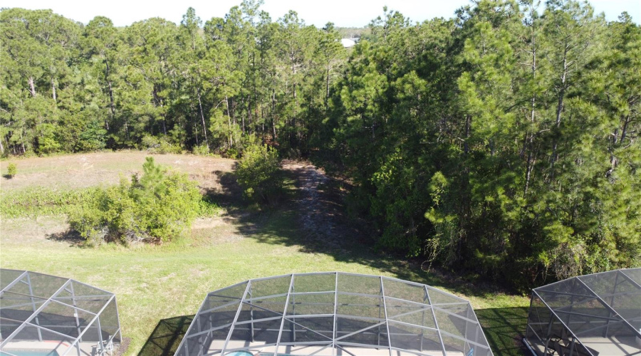 DAVENPORT, Florida 33837, 6 Bedrooms Bedrooms, ,4 BathroomsBathrooms,Residential,For Sale,ORANGE COSMOS,0,MFRS5146847