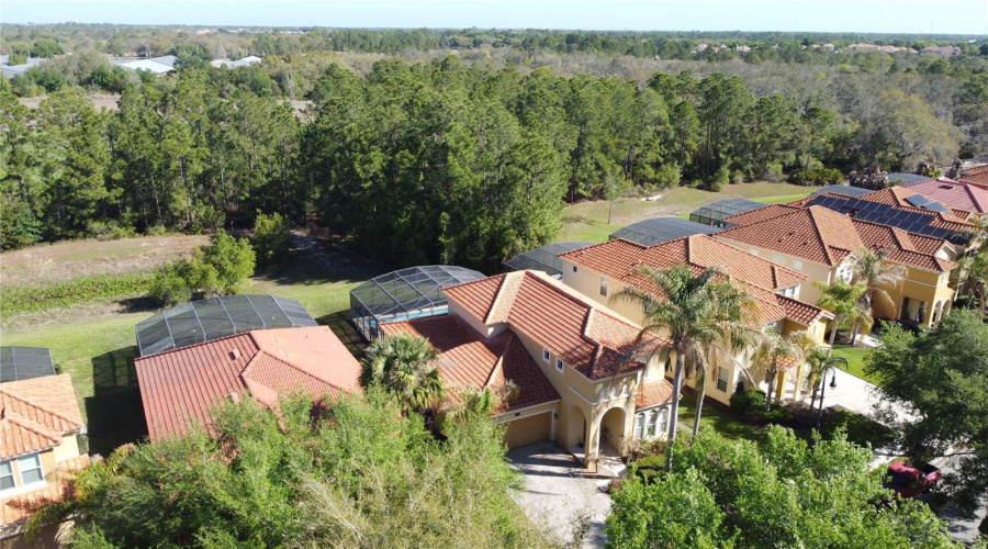 DAVENPORT, Florida 33837, 6 Bedrooms Bedrooms, ,4 BathroomsBathrooms,Residential,For Sale,ORANGE COSMOS,0,MFRS5146847