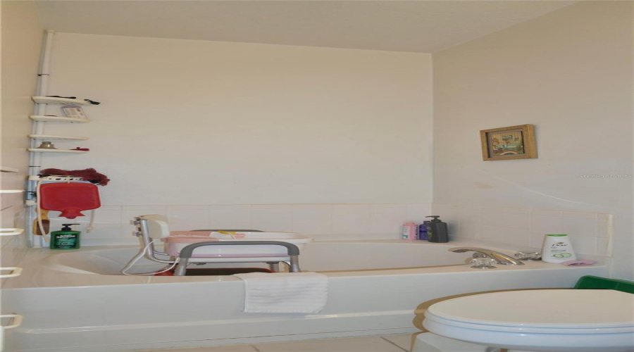 Master Bathroom Jacuzzi