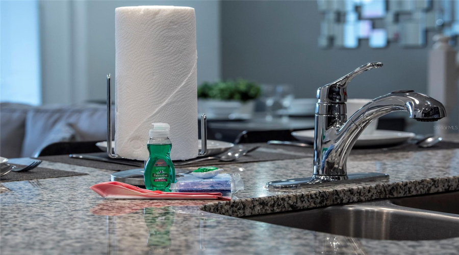 DAVENPORT, Florida 33837, 5 Bedrooms Bedrooms, ,4 BathroomsBathrooms,Residential,For Sale,TERRASONESTA,0,MFRO6397123