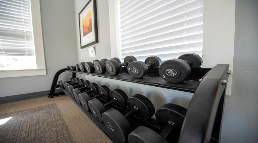 DAVENPORT, Florida 33837, 5 Bedrooms Bedrooms, ,4 BathroomsBathrooms,Residential,For Sale,TERRASONESTA,0,MFRO6397123