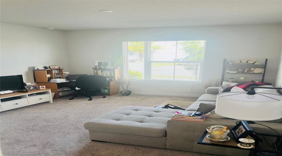 FLEX SPACE FAMILY ROOM