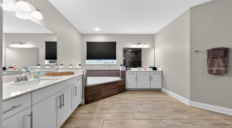 Lots of Storage Space in the Primary Bath