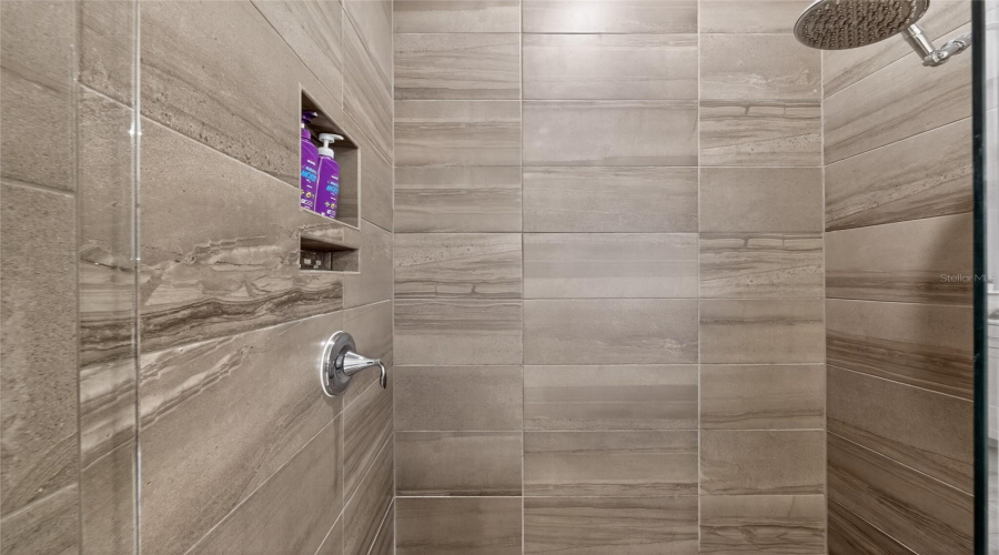 Walk-in Shower with Built-ins