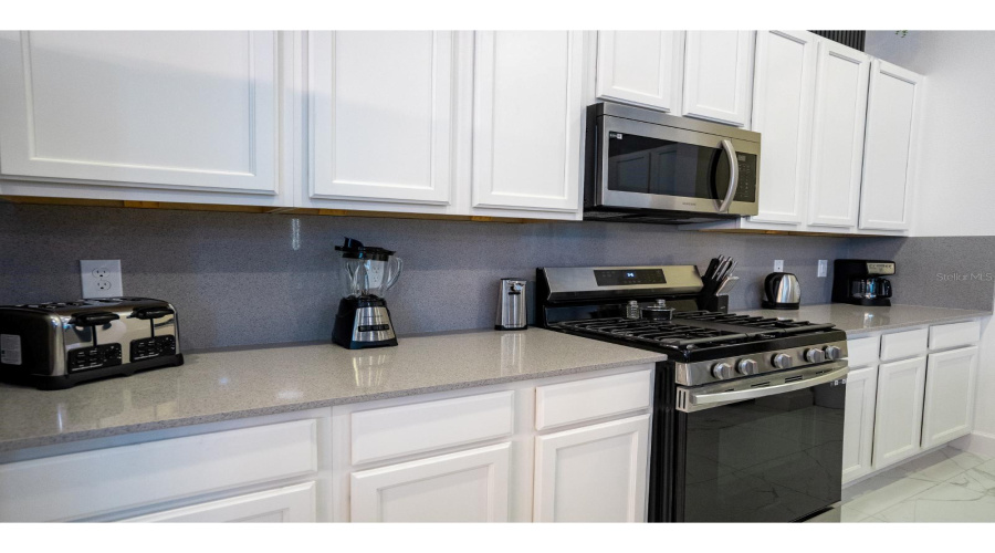 DAVENPORT, Florida 33837, 15 Bedrooms Bedrooms, ,15 BathroomsBathrooms,Residential,For Sale,BUTTERFLY MILKWEED,0,MFRL4961000