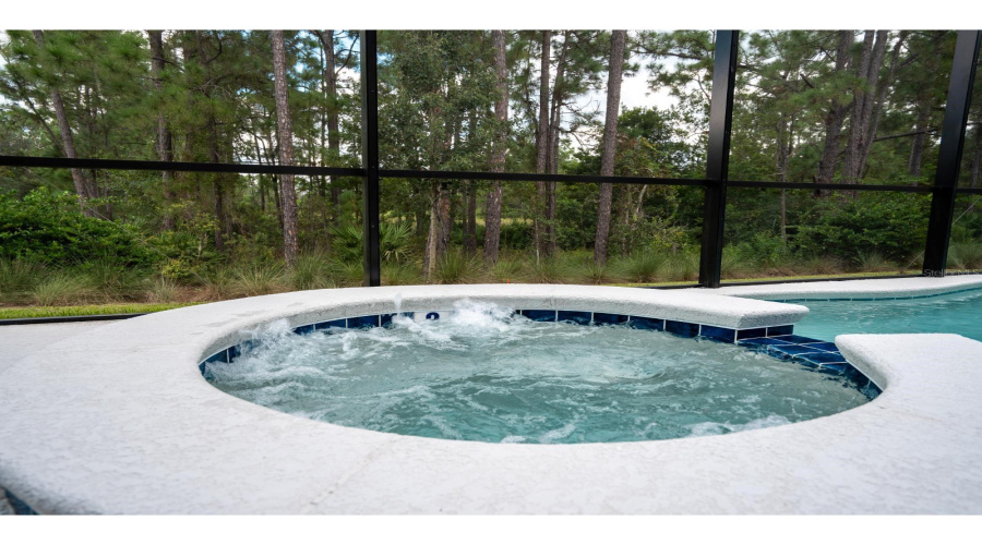 DAVENPORT, Florida 33837, 15 Bedrooms Bedrooms, ,15 BathroomsBathrooms,Residential,For Sale,BUTTERFLY MILKWEED,0,MFRL4961000