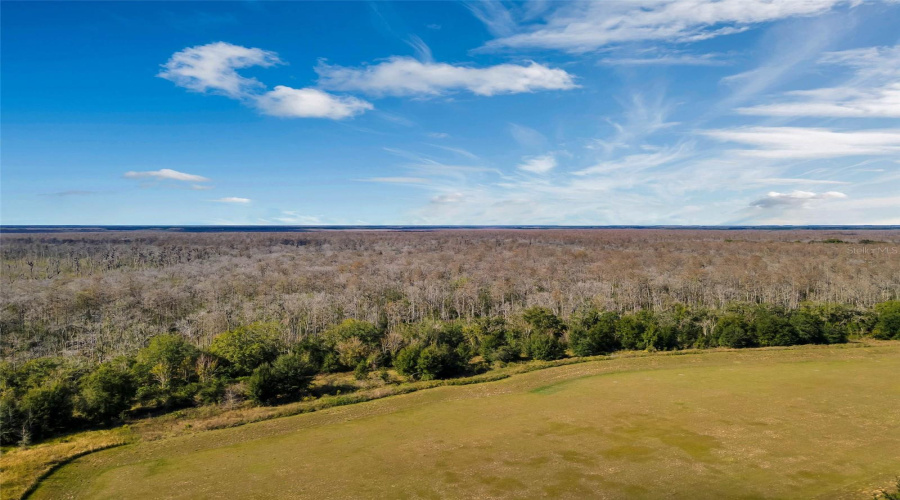 DAVENPORT, Florida 33897, 5 Bedrooms Bedrooms, ,4 BathroomsBathrooms,Residential,For Sale,HIGHGATE PARK,0,MFRS5131672