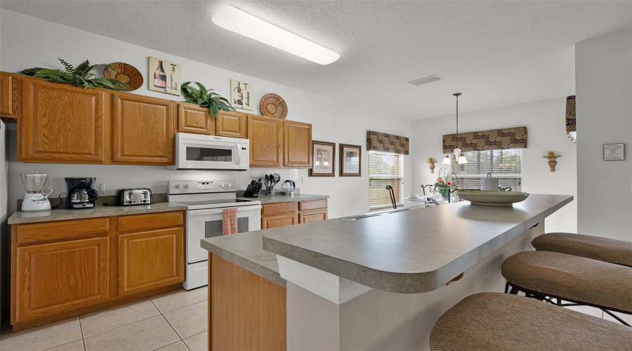 DAVENPORT, Florida 33897, 5 Bedrooms Bedrooms, ,4 BathroomsBathrooms,Residential,For Sale,HIGHGATE PARK,0,MFRS5131672