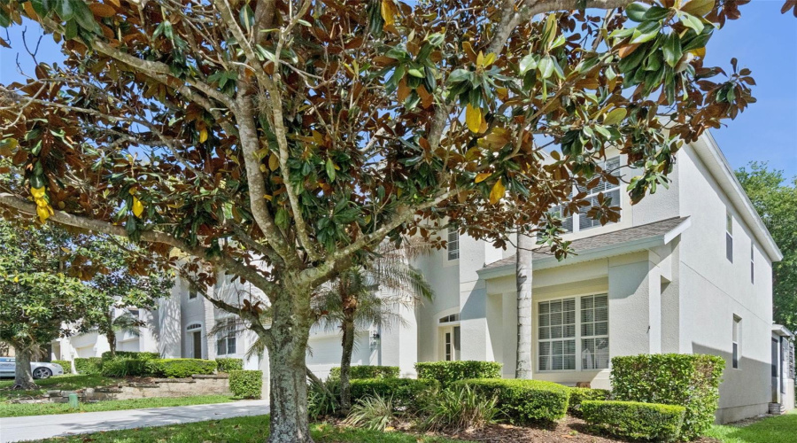 KISSIMMEE, Florida 34747, 6 Bedrooms Bedrooms, ,4 BathroomsBathrooms,Residential,For Sale,TOSTETH,0,MFRO6398878