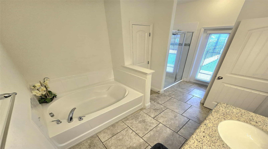 DAVENPORT, Florida 33837, 5 Bedrooms Bedrooms, ,4 BathroomsBathrooms,Residential,For Sale,WILDWOOD,0,MFRA4689430