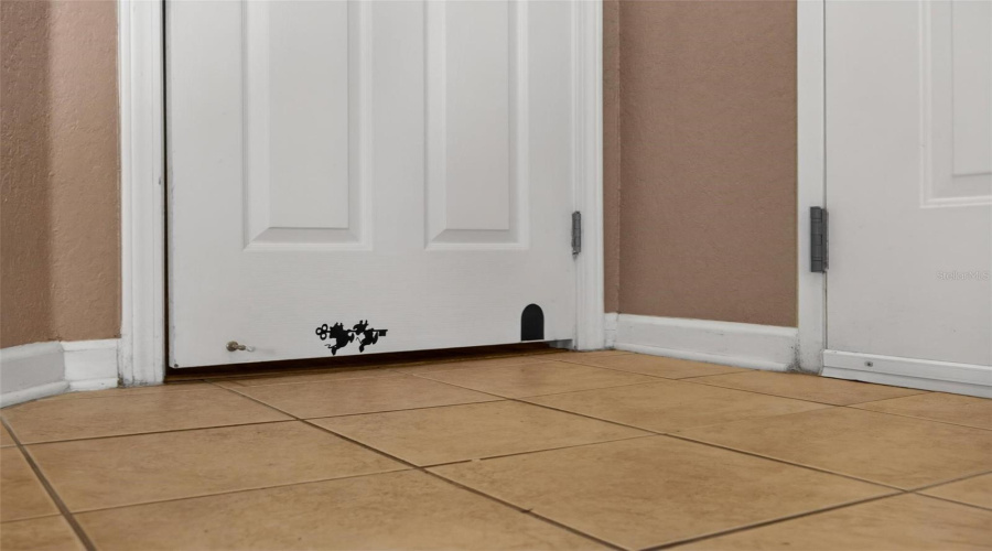 ? Is there a mouse in the house