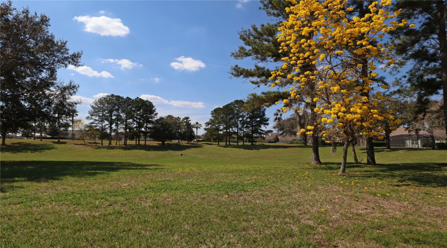 KISSIMMEE, Florida 34747, 5 Bedrooms Bedrooms, ,3 BathroomsBathrooms,Residential,For Sale,FAN PALM,0,MFRS5147833