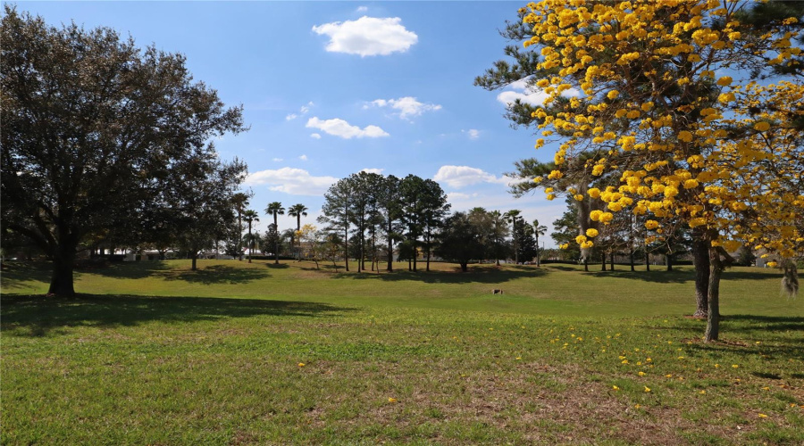 KISSIMMEE, Florida 34747, 5 Bedrooms Bedrooms, ,3 BathroomsBathrooms,Residential,For Sale,FAN PALM,0,MFRS5147833