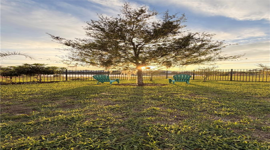 DAVENPORT, Florida 33837, 4 Bedrooms Bedrooms, ,2 BathroomsBathrooms,Residential,For Sale,OAK BLUFF,0,MFRO6393836