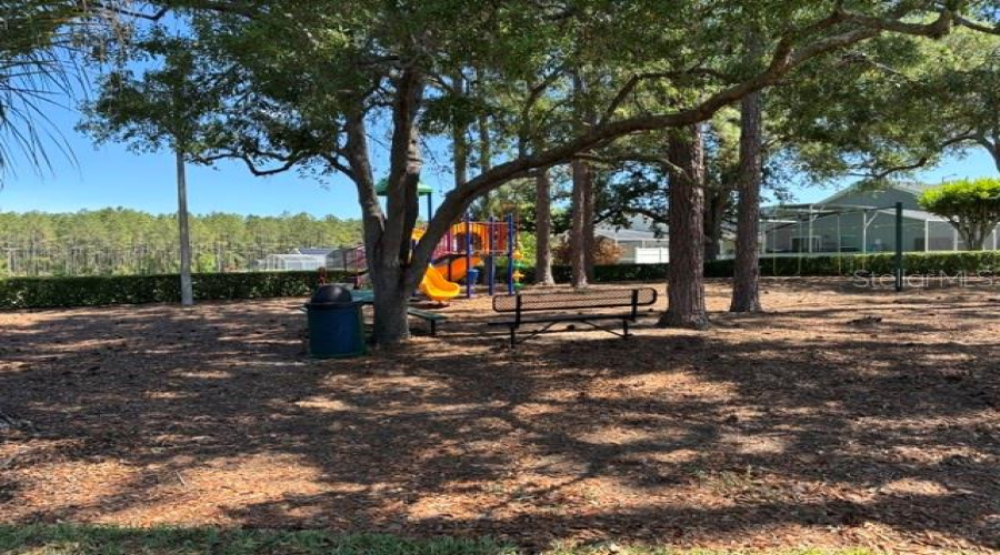 Main community Playground with picnic area