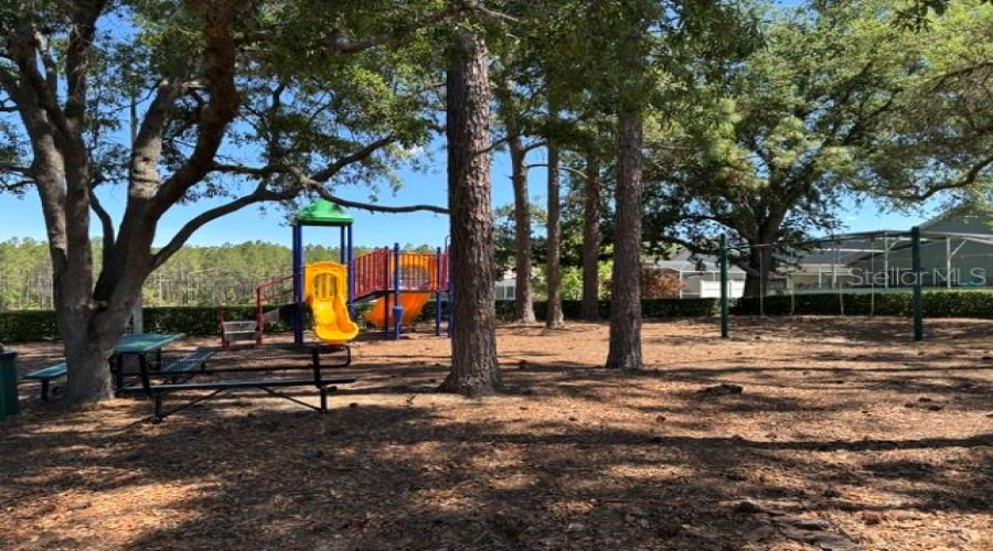 Main Community Playground with picnic tables