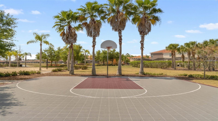 Basketball Court