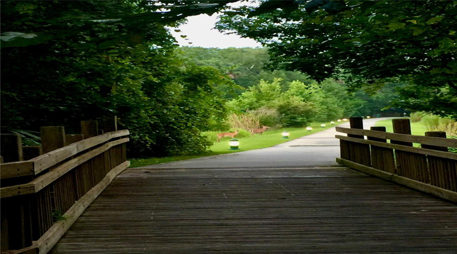 Artisan Park Walking Trails