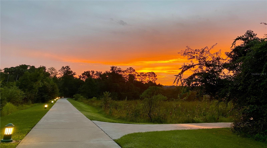 Artisan Park Walking Trails