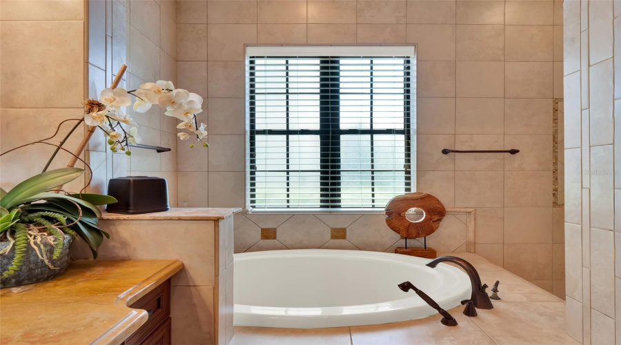 REUNION, Florida 34747, 7 Bedrooms Bedrooms, ,6 BathroomsBathrooms,Residential,For Sale,GRAND TRAVERSE,0,MFRO6336082