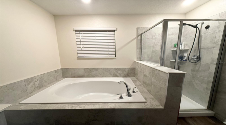 CHAMPIONS GATE, Florida 33896, 4 Bedrooms Bedrooms, ,2 BathroomsBathrooms,Residential,For Sale,DOWNSWING,0,MFRS5148165