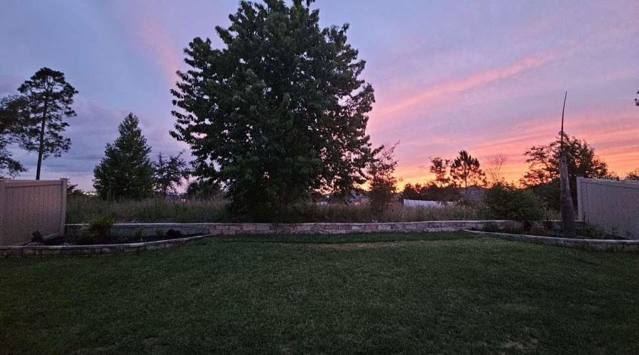 Backyard at sunset