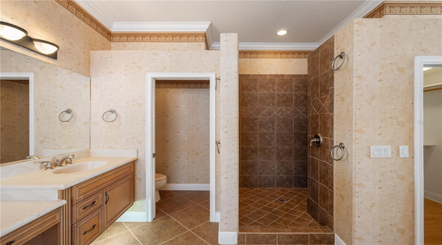 ORLANDO, Florida 32836, 4 Bedrooms Bedrooms, ,4 BathroomsBathrooms,Residential,For Sale,VIA ROSA,0,MFRO6389505