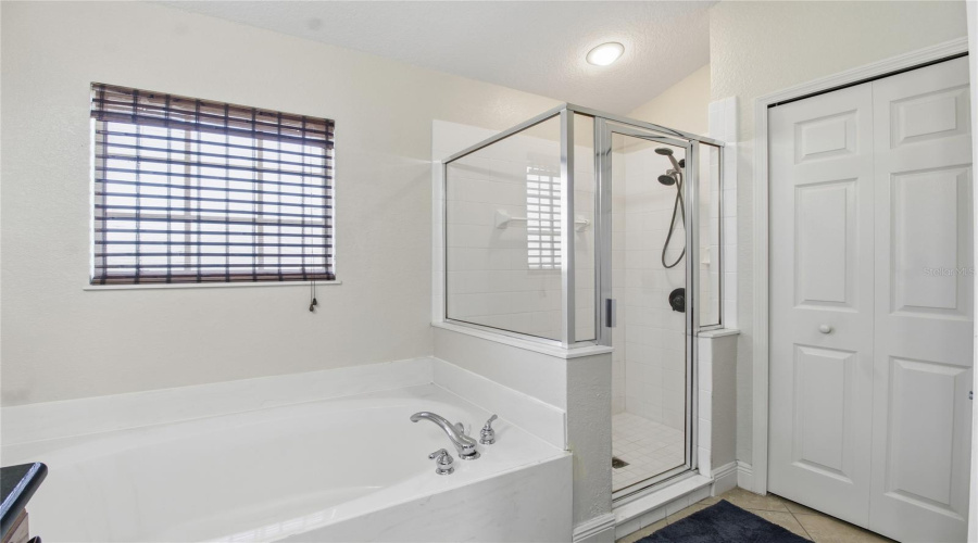 Standing shower and soaking tub