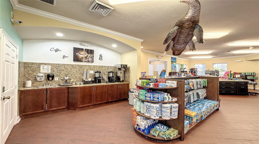 KISSIMMEE, Florida 34747, 3 Bedrooms Bedrooms, ,2 BathroomsBathrooms,Residential,For Sale,BUTTERFLY PALM,0,MFRTB8501444