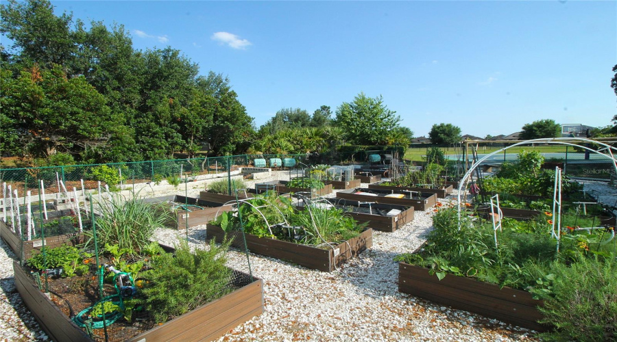Community Garden
