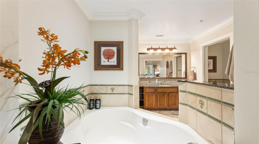 REUNION, Florida 34747, 3 Bedrooms Bedrooms, ,2 BathroomsBathrooms,Residential,For Sale,HERITAGE CROSSING,0,MFRS5148637