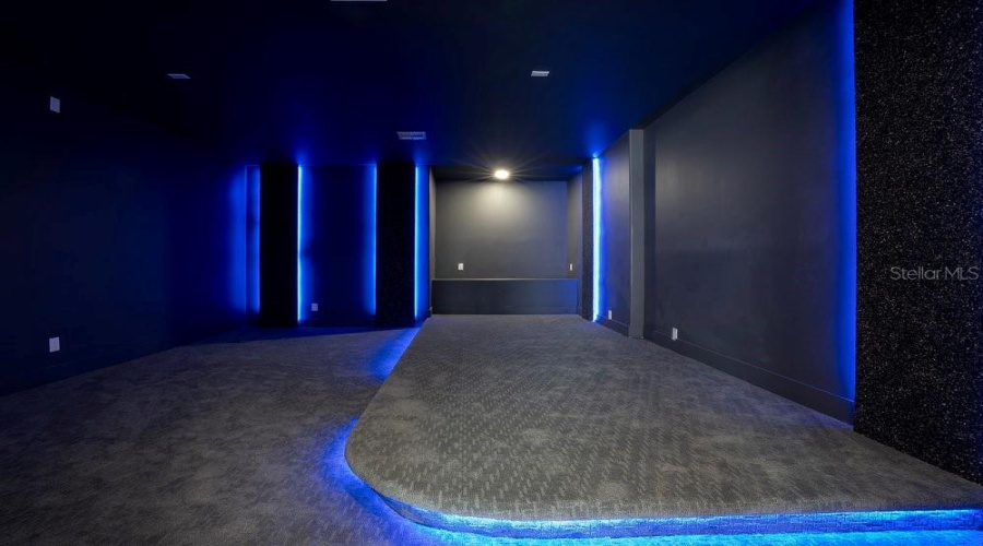 Lower level Theater /Media Room