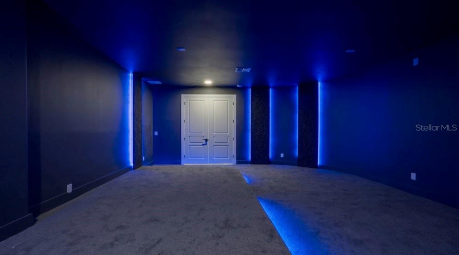 Lower level Theater /Media Room