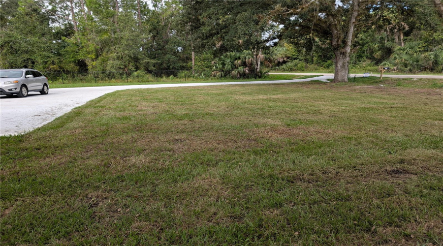 FRONT LAWN FACING CONSERVATION LAND