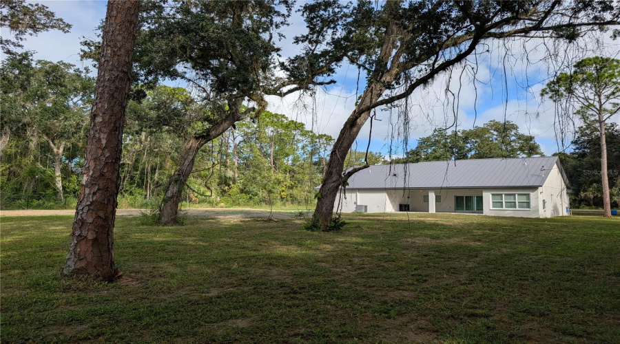 Rear house view from back yard