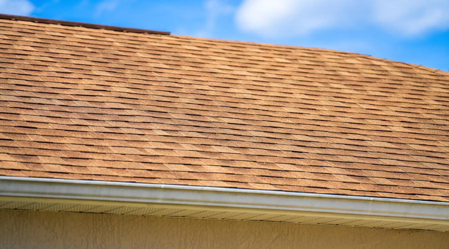 Shingle Roof