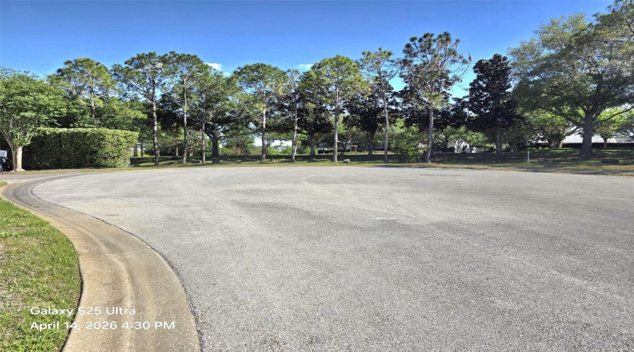 DAVENPORT, Florida 33896, 5 Bedrooms Bedrooms, ,4 BathroomsBathrooms,Residential,For Sale,BALMORAL,0,MFRO6403584