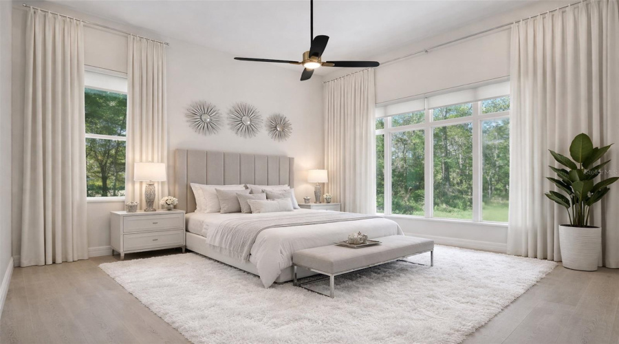 picture virtual staged