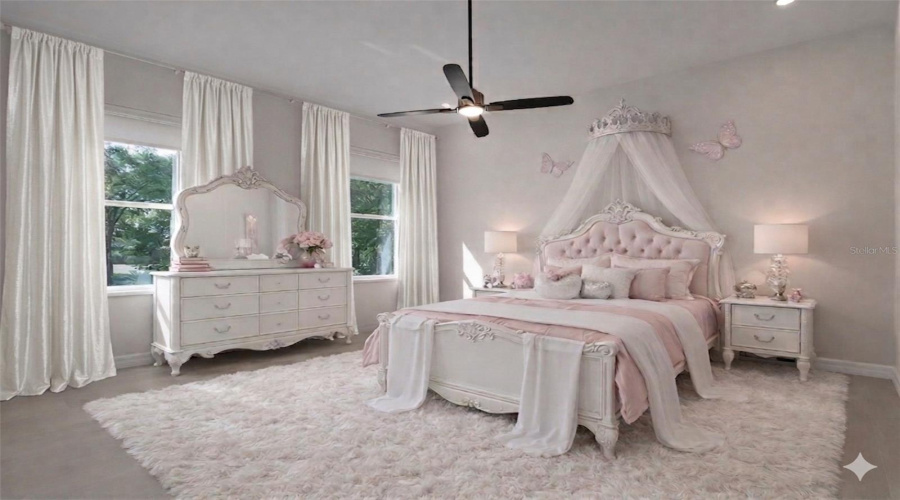 picture virtual staged