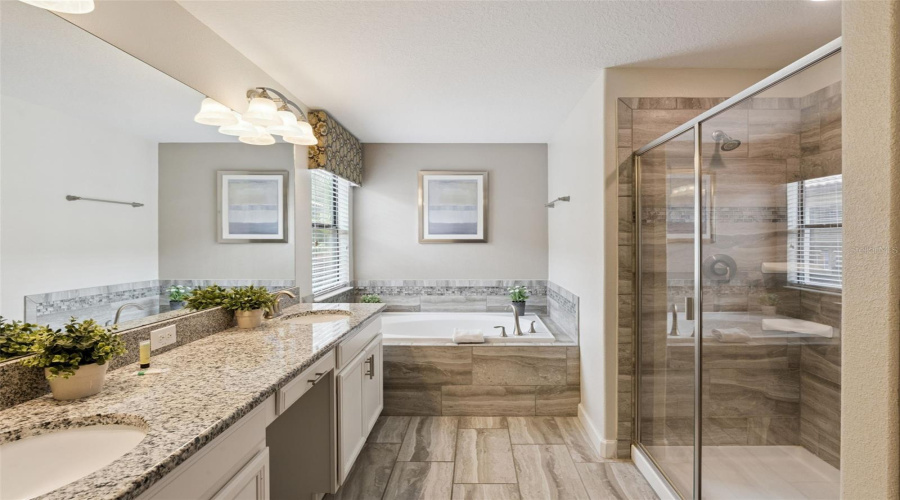 DAVENPORT, Florida 33837, 6 Bedrooms Bedrooms, ,5 BathroomsBathrooms,Residential,For Sale,SOLTERRA,0,MFRP4938612