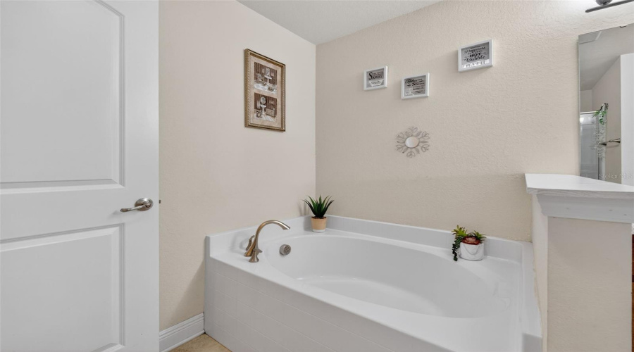DAVENPORT, Florida 33837, 4 Bedrooms Bedrooms, ,3 BathroomsBathrooms,Residential,For Sale,BUCHANNAN,0,MFRO6362369