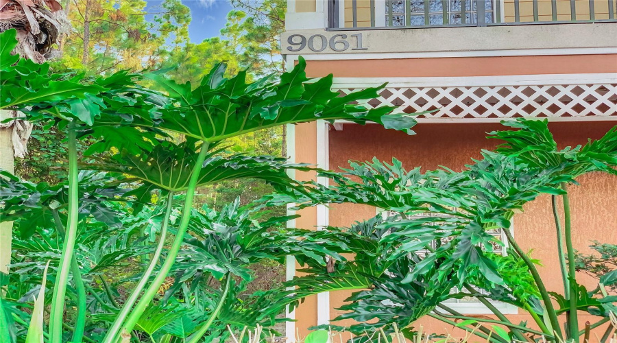KISSIMMEE, Florida 34747, 3 Bedrooms Bedrooms, ,2 BathroomsBathrooms,Residential,For Sale,TREASURE TROVE,0,MFRO6304247