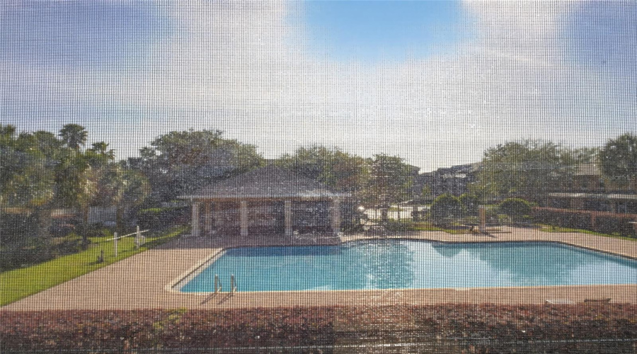 pool view